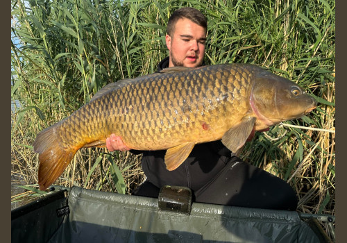 Pêche de la Carpe en Espagne