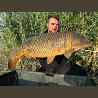 Pêche de la Carpe en Espagne