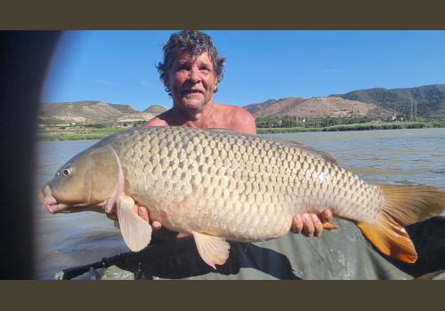 Pêche de la Carpe en Espagne