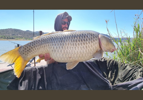 Pêche de la Czrpe en Espagne