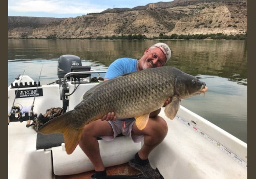 Pêche de la Czrpe en Espagne