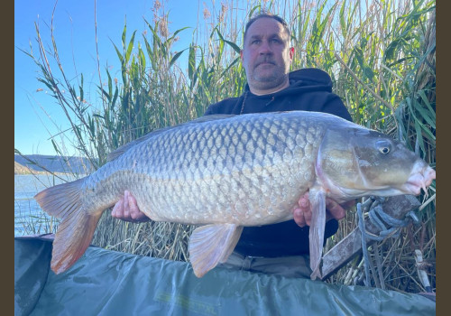 Pêche de la Czrpe en Espagne