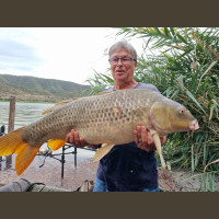 Pêche de la Carpe en Espagne