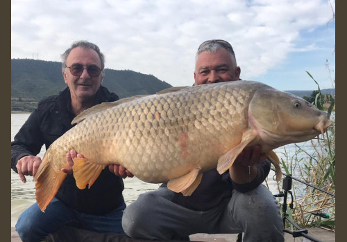 Pêche de la Carpe en Espagne