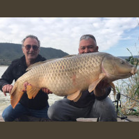 Pêche de la Czrpe en Espagne