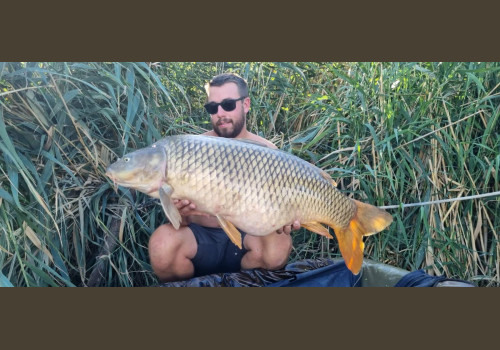 Pêche de la Carpe en Espagne