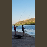 Pêche de la Czrpe en Espagne