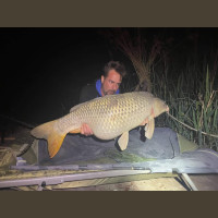 Pêche de la Carpe en Espagne