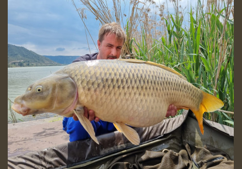 Pêche de la Carpe en Espagne