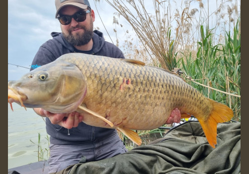 Pêche de la Carpe en Espagne