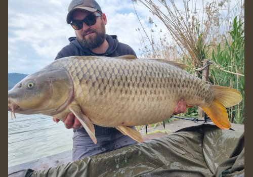 Pêche de la Carpe en Espagne