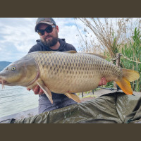 Pêche de la Carpe en Espagne