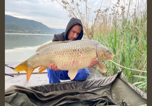 Pêche de la Carpe en Espagne