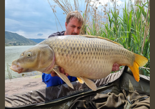 Pêche de la Czrpe en Espagne