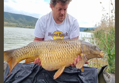 Pêche de la Czrpe en Espagne