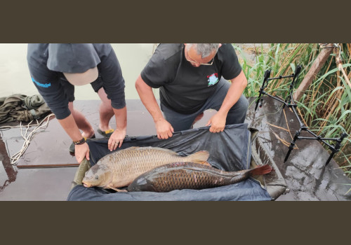 Pêche de la Czrpe en Espagne