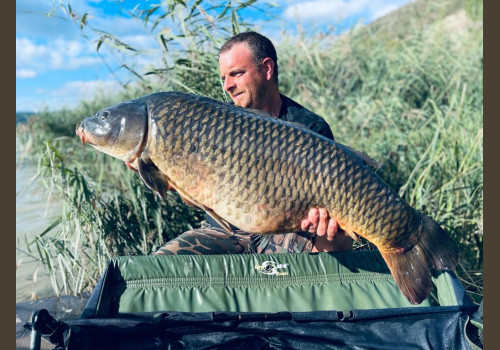 Pêche de la Czrpe en Espagne