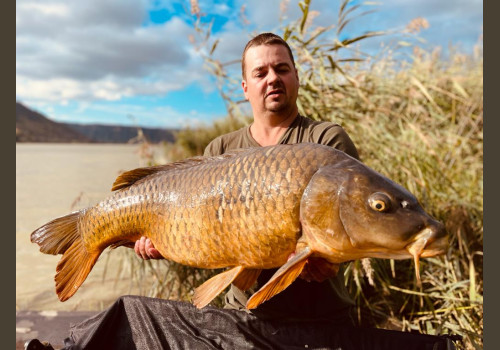 Pêche de la Carpe en Espagne