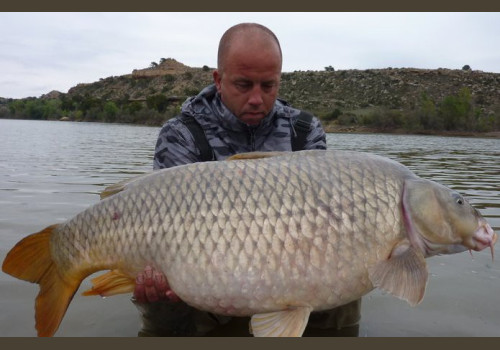 Pêche de la Carpe en Espagne