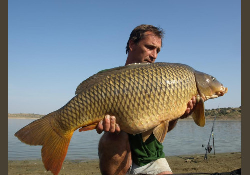 Pêche de la Czrpe en Espagne